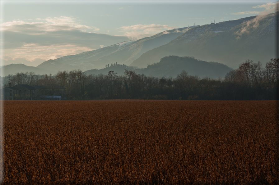 foto Pendici del Monte Grappa in Inverno